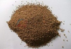 核桃砂直線振動(dòng)篩如何選擇型號(hào)